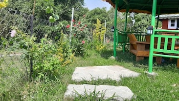 the wild planet treehouses and cottages