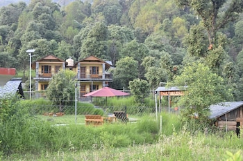 the wild planet treehouses and cottages