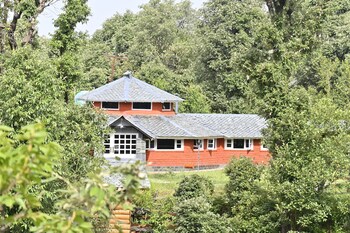 the wild planet treehouses and cottages