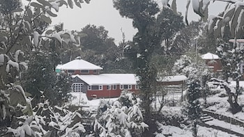 the wild planet treehouses and cottages