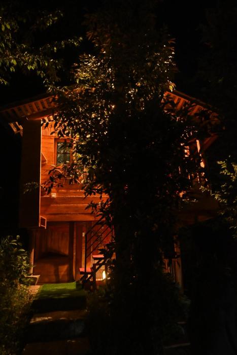 the wild planet treehouses and cottages