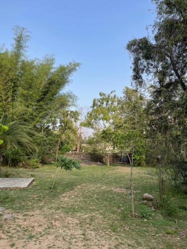 anandmai heritage villa mount abu