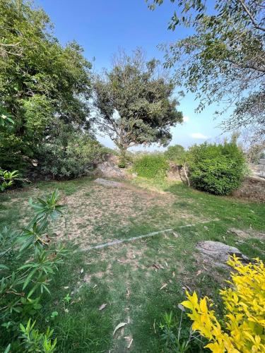 Anandmai Heritage Villa Mount Abu,,2 star