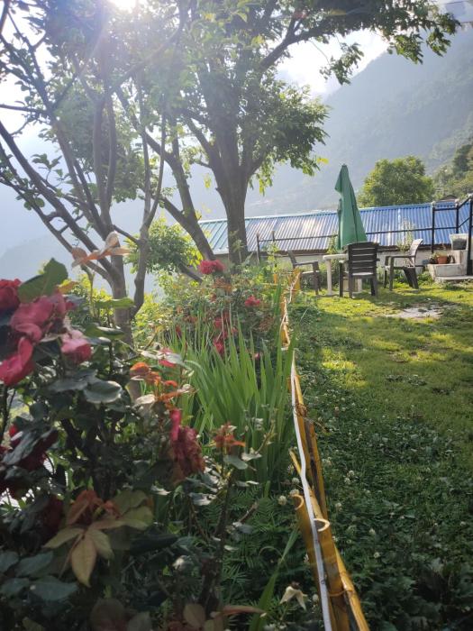 bharat homestay the native himalayan