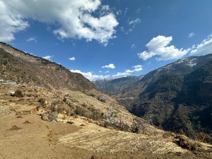 bharat homestay the native himalayan