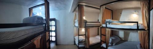 bharat homestay the native himalayan