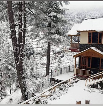 majestic view cottages