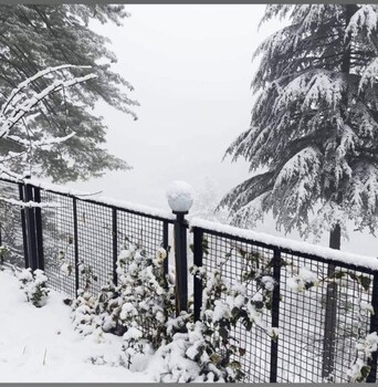 majestic view cottages