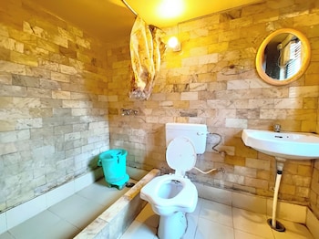 hotel deluxe ankur lake view nainital