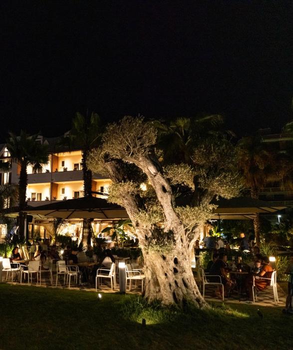 vila lasko