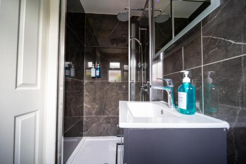 pleasant studio in st albans