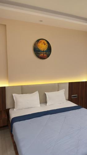 villa vistosa omaxe hazratganj