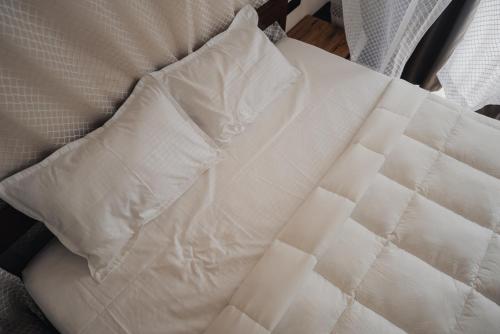 villa vistosa omaxe hazratganj