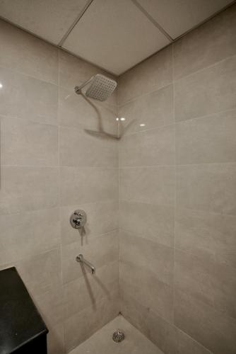 villa vistosa omaxe hazratganj