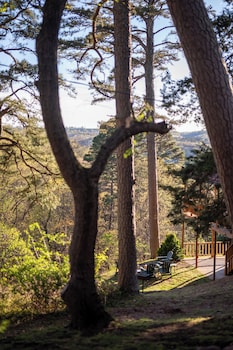 The Woodsman Lodge,352 West Van Buren Street,2 star
