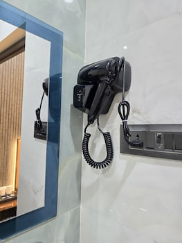 vega hotel and restro and the om residency