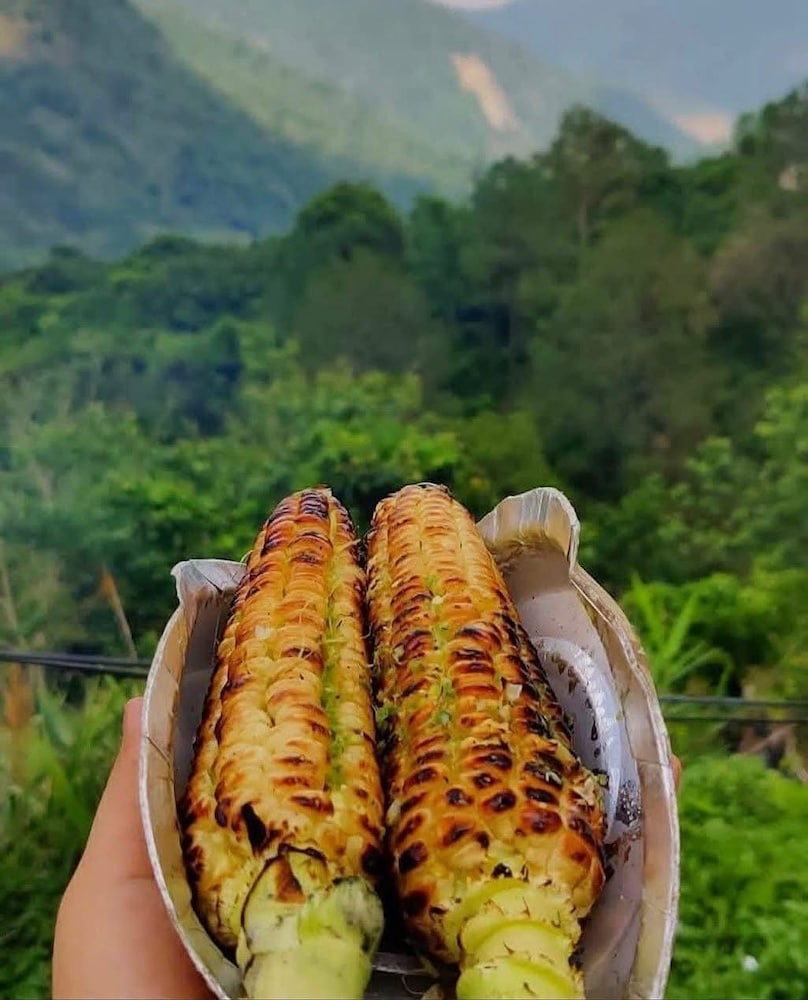 anurag hotel chakrata