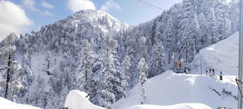 anurag hotel chakrata