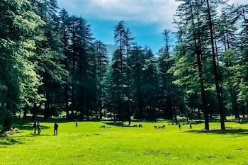 anurag hotel chakrata