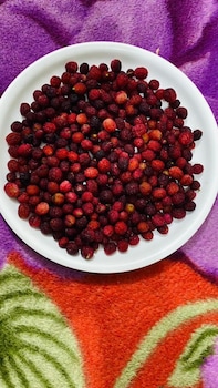 anurag hotel chakrata