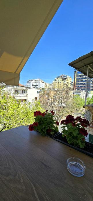 arkle apartment 3