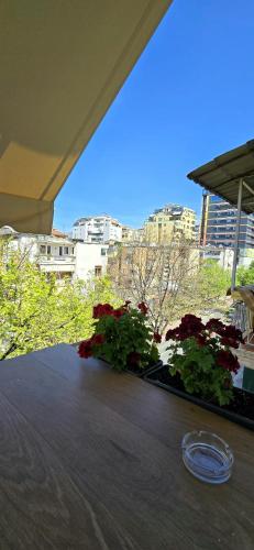 arkle apartment 3