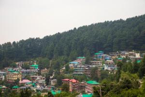dharamkot outlook