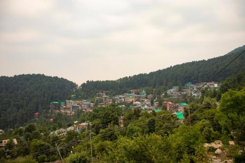 dharamkot outlook