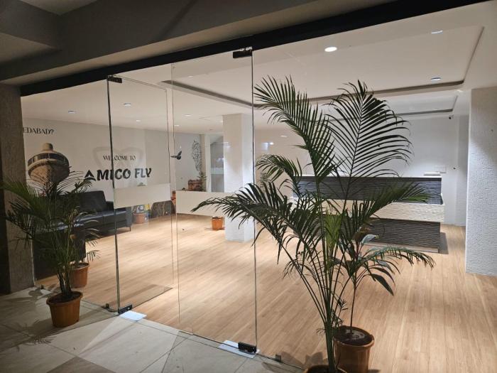 amico fly