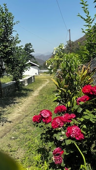 geeta ji forest retreat