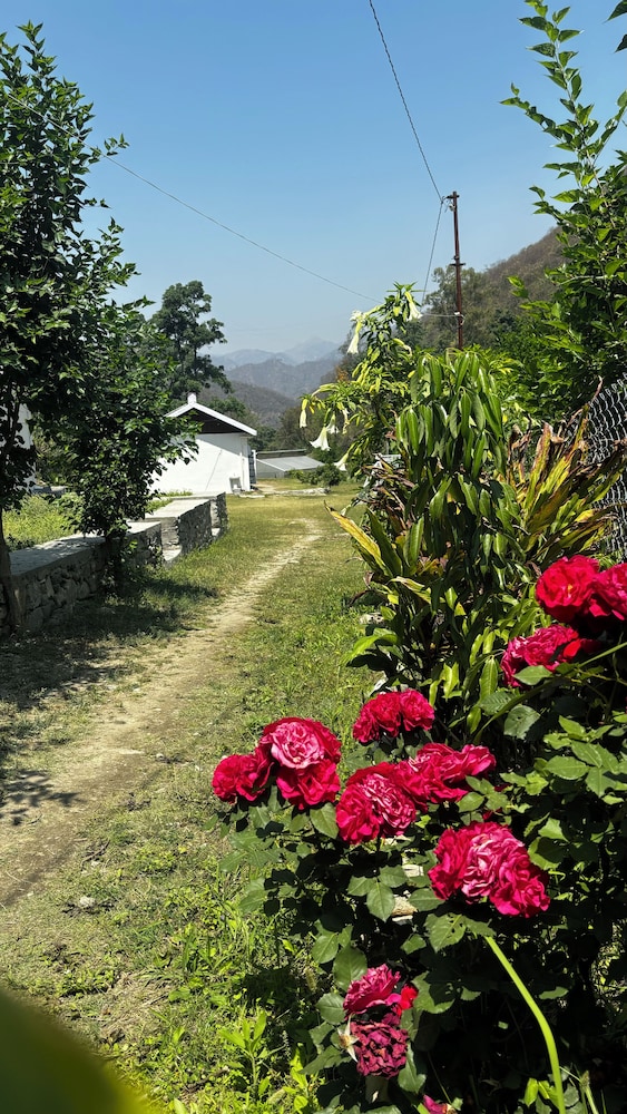 geeta ji forest retreat