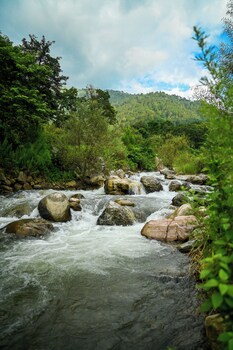 geeta ji forest retreat