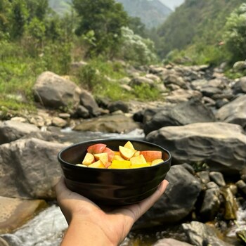 Geeta Ji - Forest Retreat,,3 star