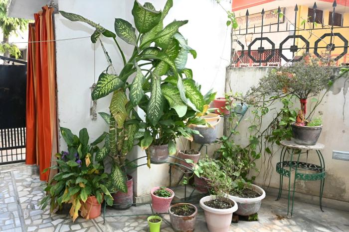 siddhivinayak temple guest house