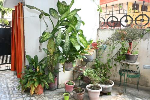 siddhivinayak temple guest house