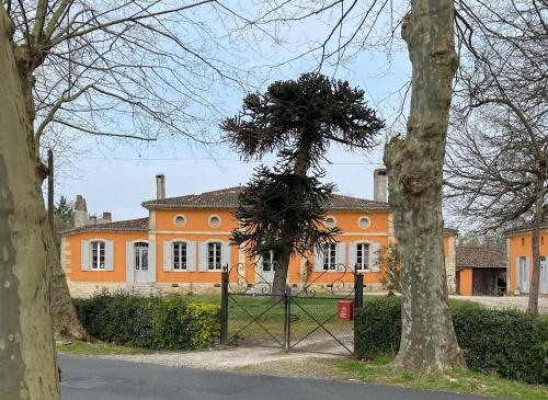 chateau ciers