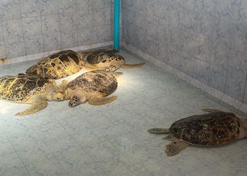 Longlay Resort Rayong,,3 star