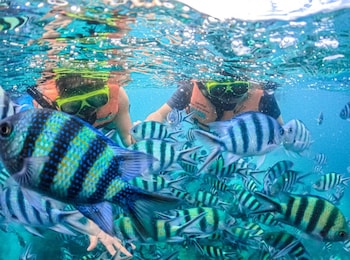 longlay resort rayong