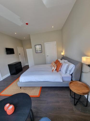 the ivy apartments