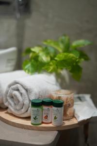 ira retreat varanasi