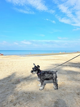 the kite hotel bangsaen by koko