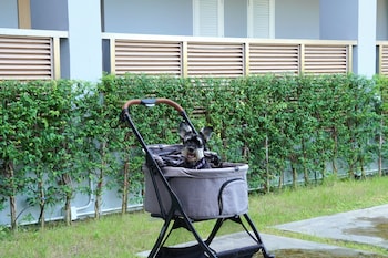 The Kite Hotel Bangsaen By Koko,,2 star