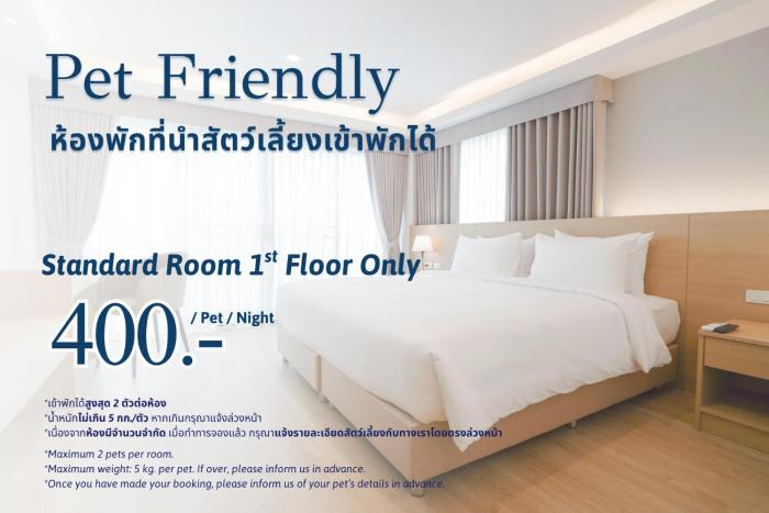 the kite hotel bangsaen by koko
