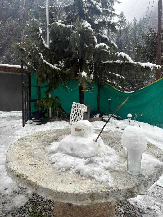 the pahadi soul stay and cafe