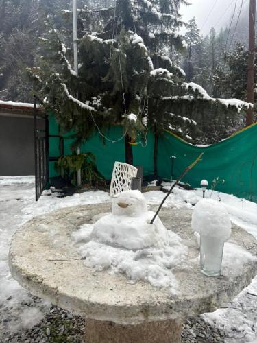 the pahadi soul stay and cafe