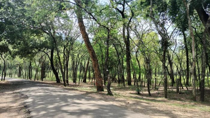 green mount residency