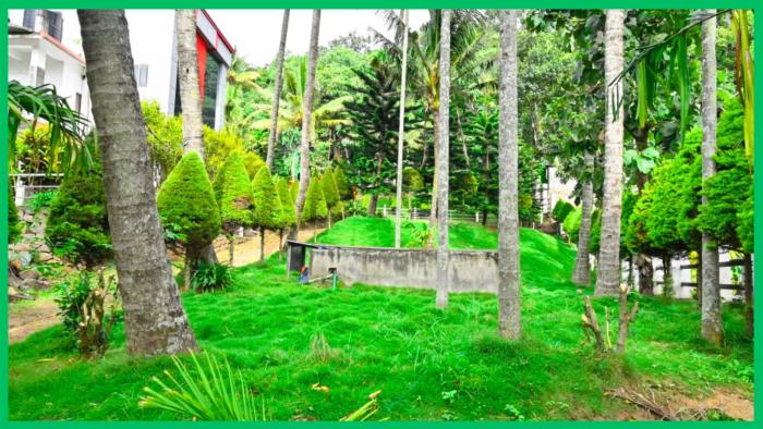 green mount residency