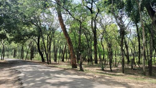 green mount residency