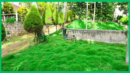 green mount residency