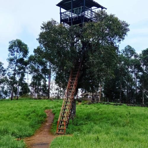 green mount residency